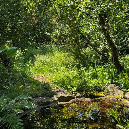 Nahtureifel Nahe Nuerburgring U Waldakademie